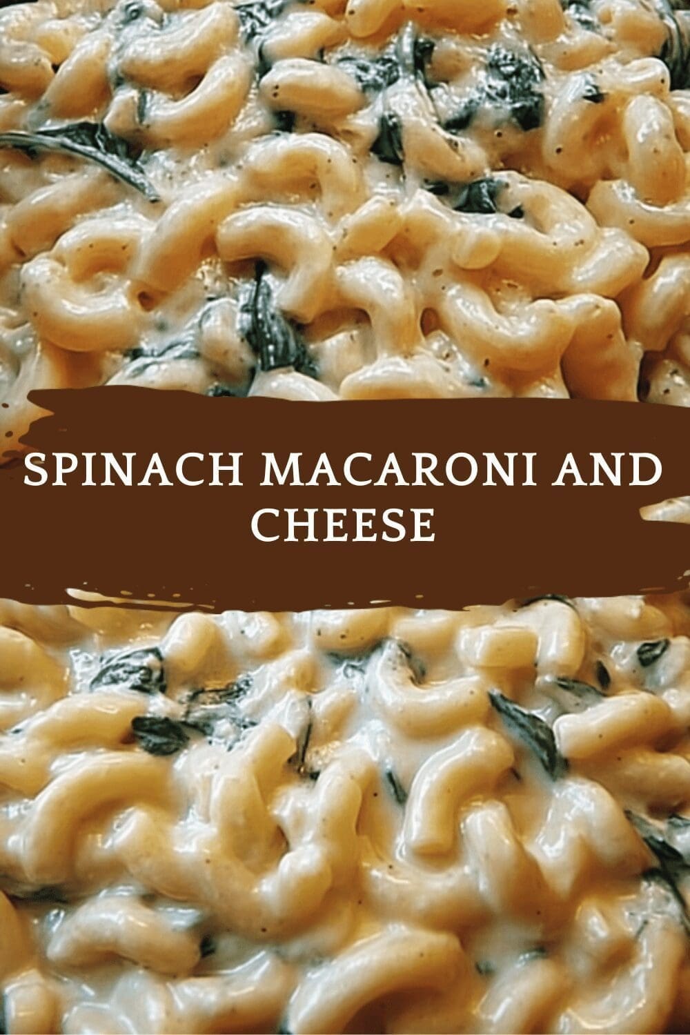 Spinach Mac And Cheese Recipe With Creamy Texture Ready In 15 Minutes 6 Spinach Macaroni And Cheese