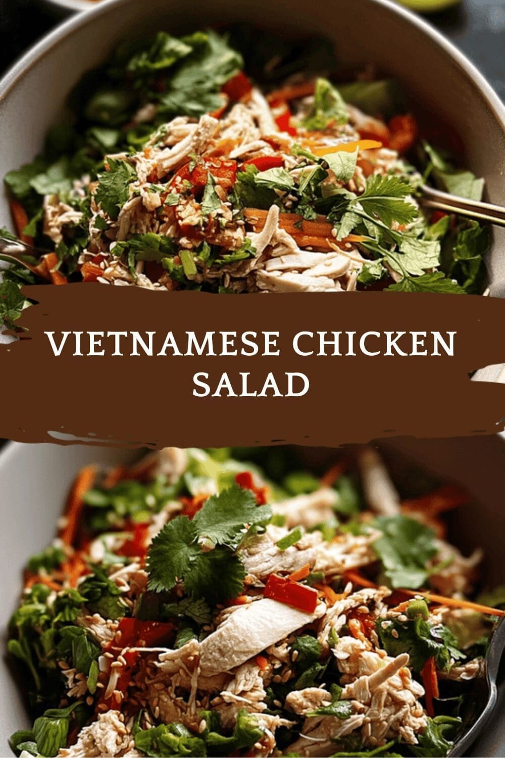 Vietnamese Chicken Salad With Crunchy Cabbage: Easy And Fresh Recipe 6 Vietnamese Chicken Salad