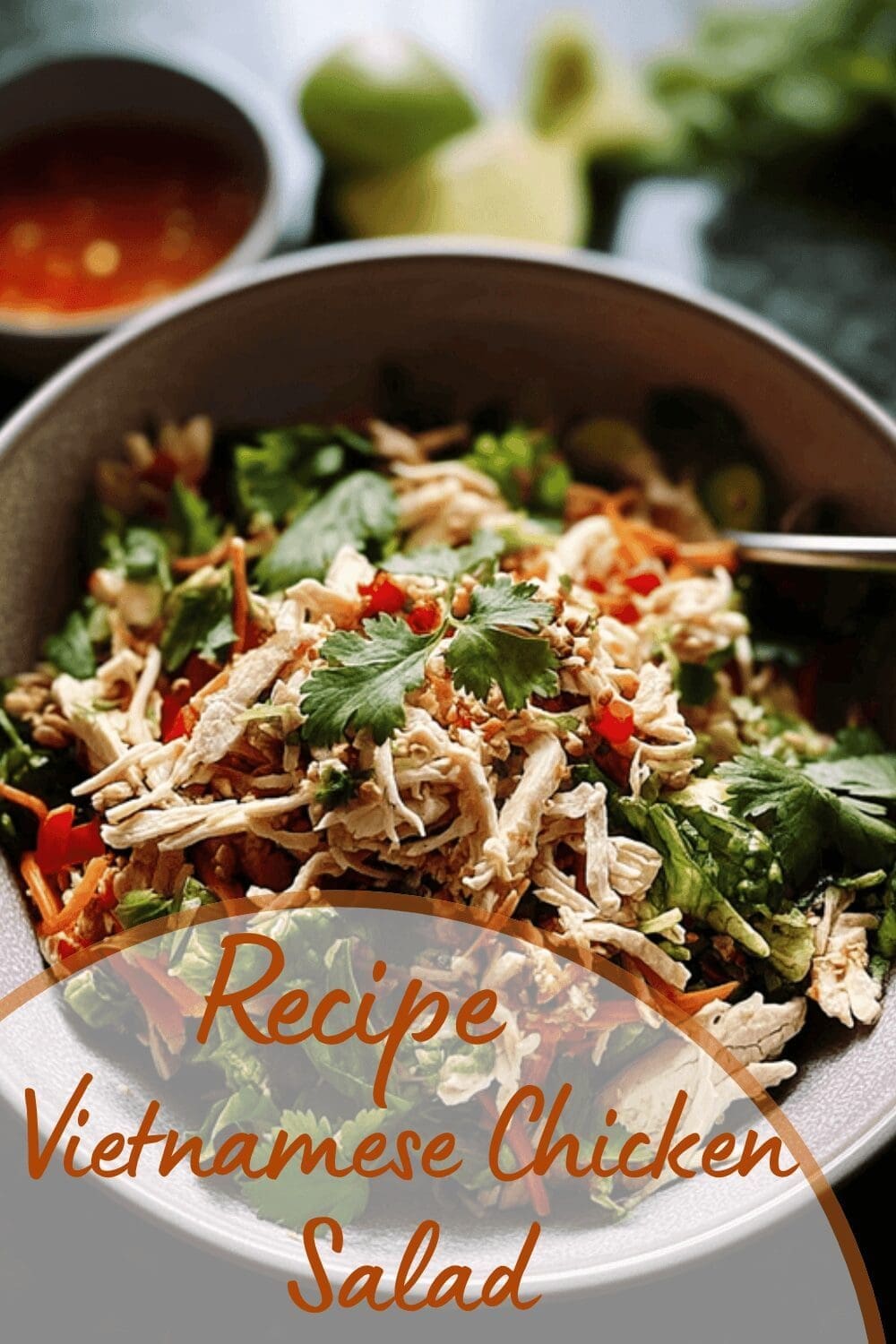 Vietnamese Chicken Salad With Crunchy Cabbage: Easy And Fresh Recipe 7 Vietnamese Chicken Salad