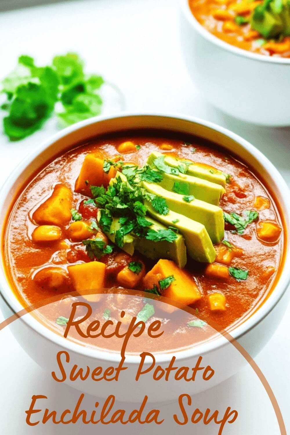 Sweet Potato And Grilled Chicken Soup With Tortilla And Enchilada Flavors 7 Sweet Potato Enchilada Soup