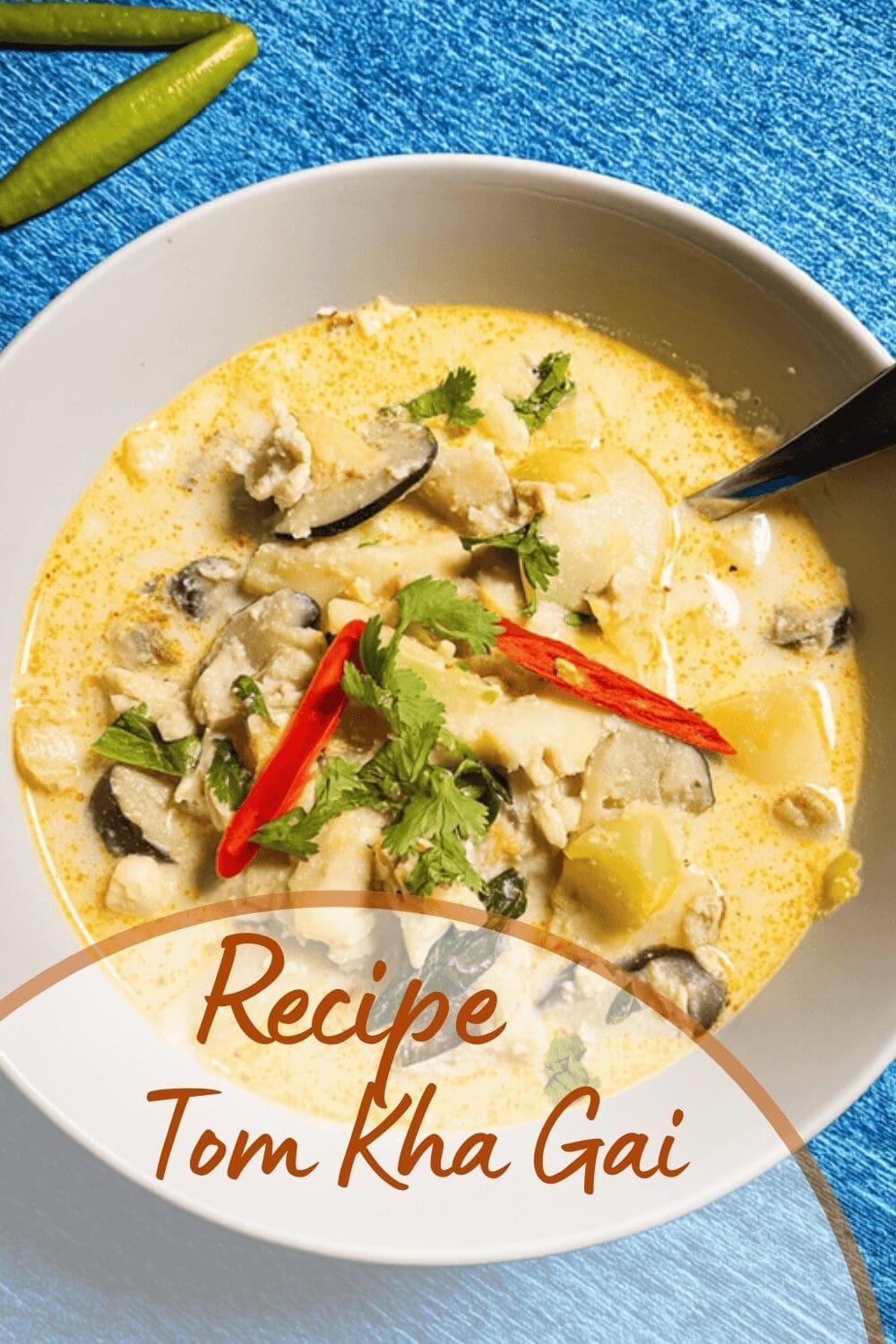 Tom Kha Gai Recipe Thai Coconut Chicken Soup Ready In 30 Minutes 7 Tom Kha Gai