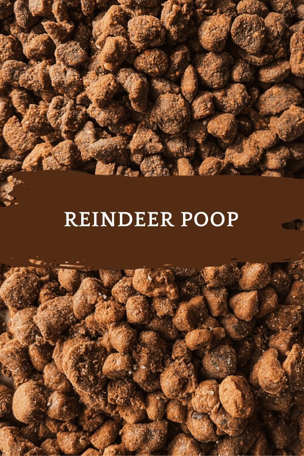 Reindeer Poop Snack Mix And Classic Cinnamon Rice Pudding Recipe 6 Reindeer Poop