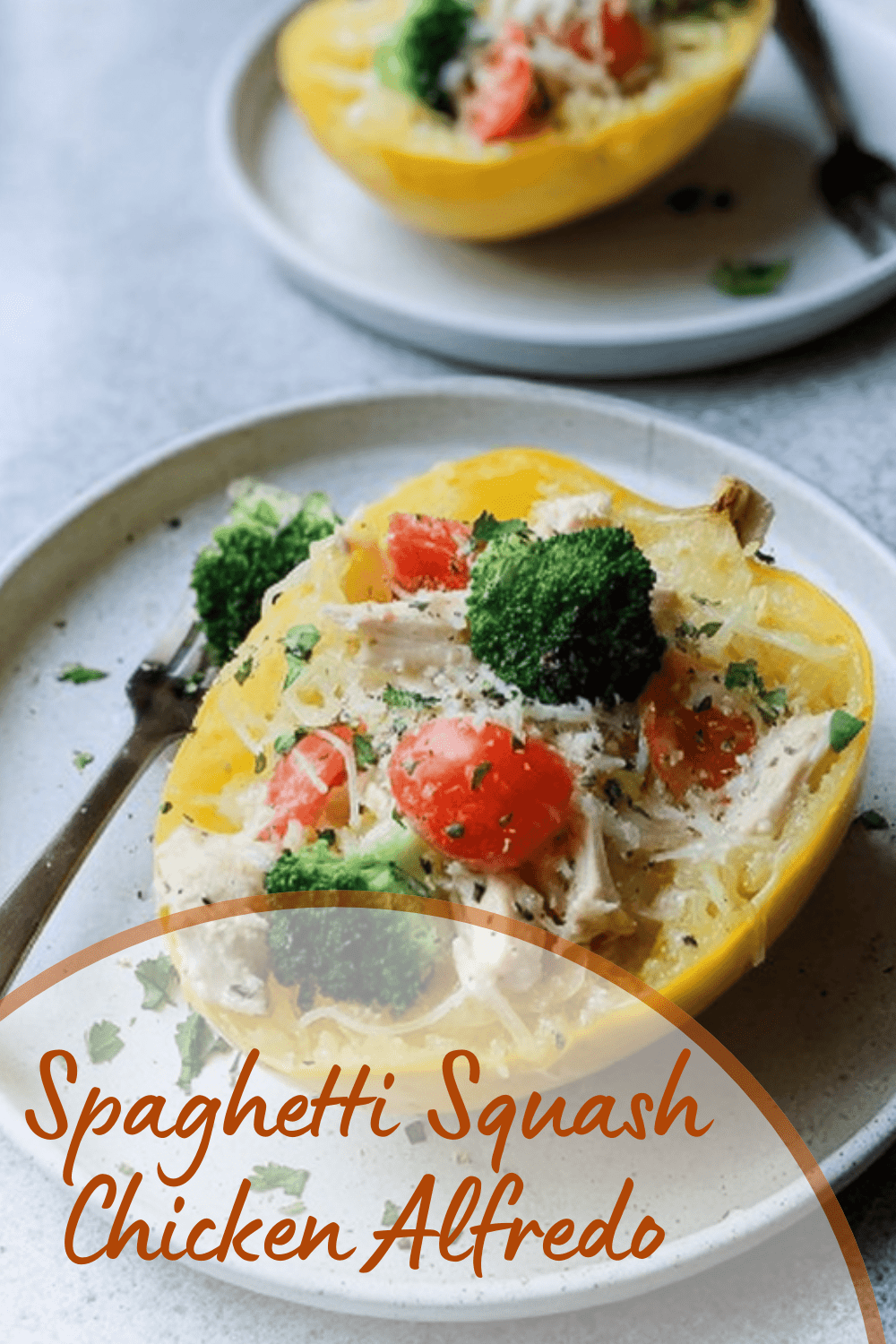 Spaghetti Squash Chicken Alfredo