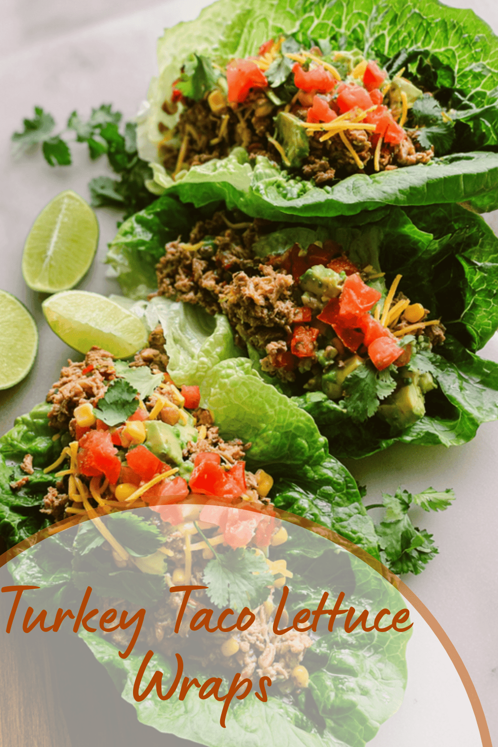 Turkey Taco Lettuce Wraps Recipe With Fresh And Healthy Ingredients 7 Turkey Taco Lettuce Wraps