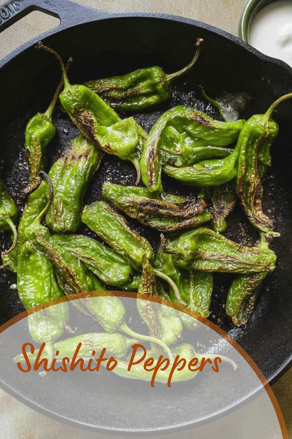 Blistered Shishito Peppers Recipe With Simple Seasoning And Quick Cooking 7 Shishito Peppers