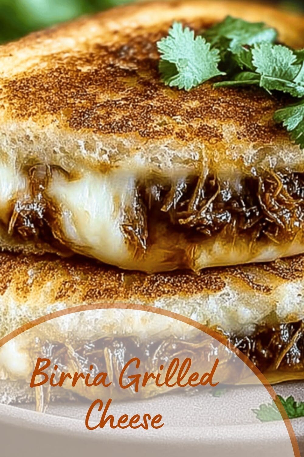 Birria Grilled Cheese Recipe For Rich And Savory Flavors 7 Birria Grilled Cheese