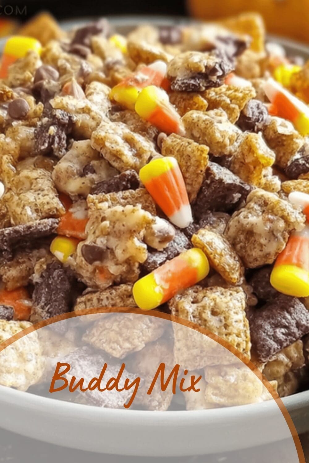 Muddy Buddies Recipe Ideas For Easy Sweet Snack Mixes 7 Buddy Mix