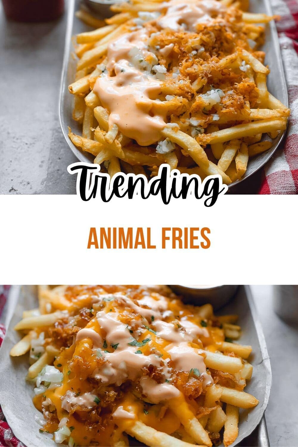 In N Out Animal Style Fries Recipe With Secret Sauce And Toppings 7 Animal Fries