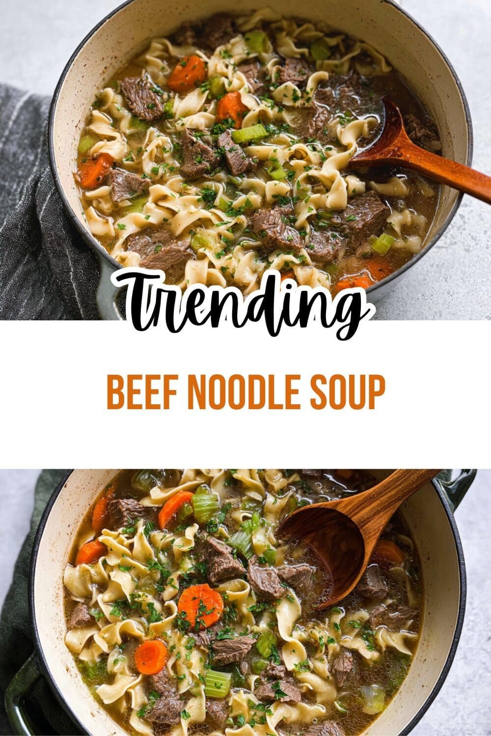 Beef Noodle Soup