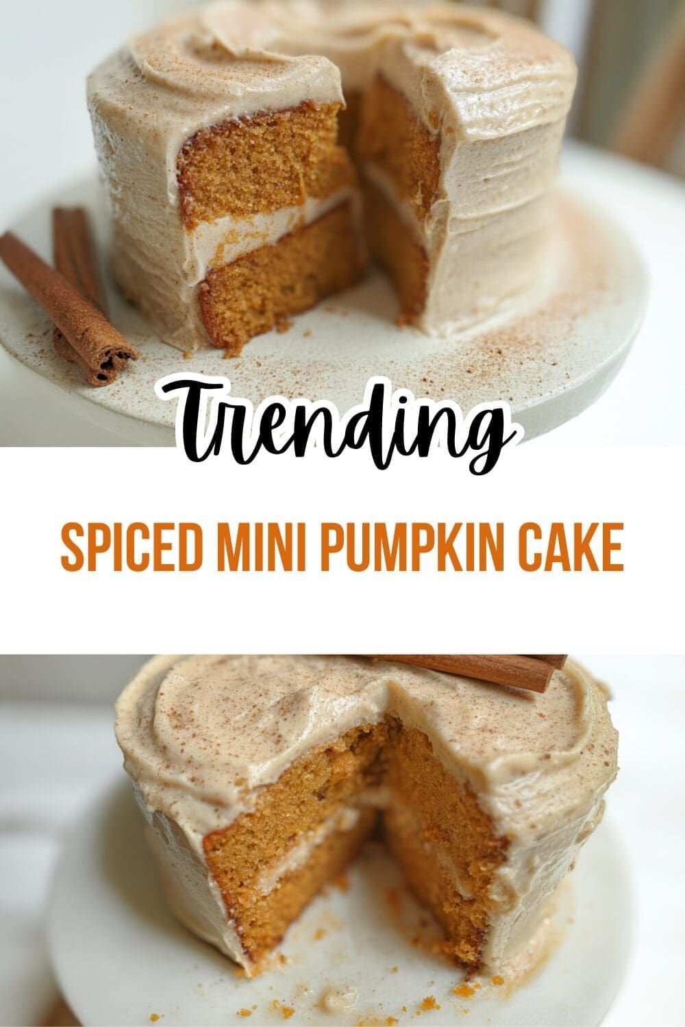 Spiced Mini Pumpkin Cake