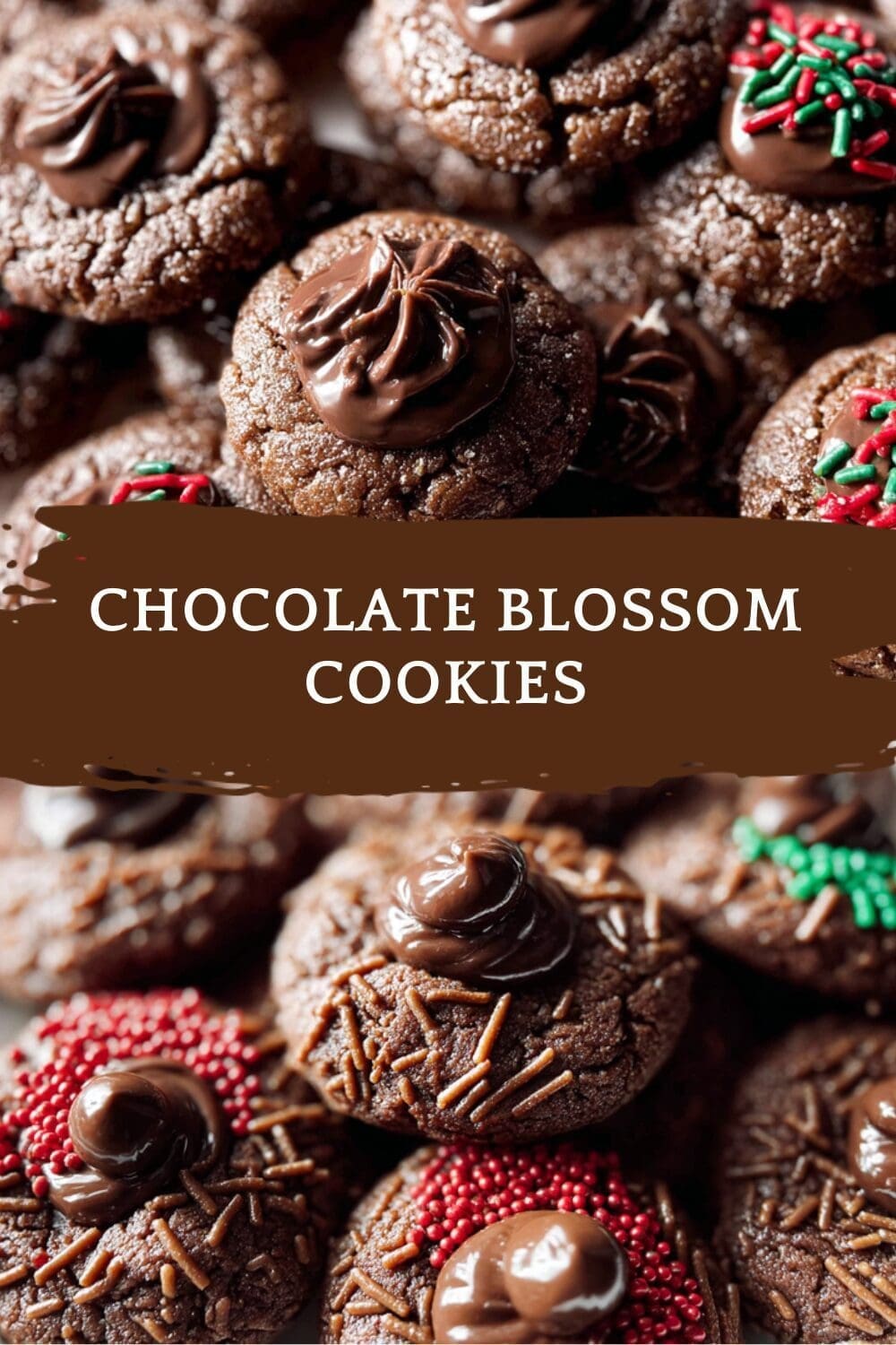 Chocolate Blossom Cookies Recipe With Soft Centers And Crispy Edges 7 Chocolate Blossom Cookies