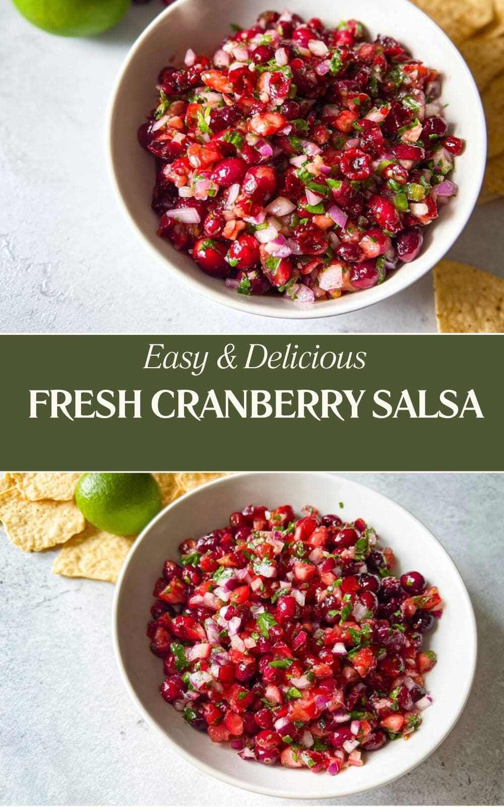 Fresh Cranberry Salsa