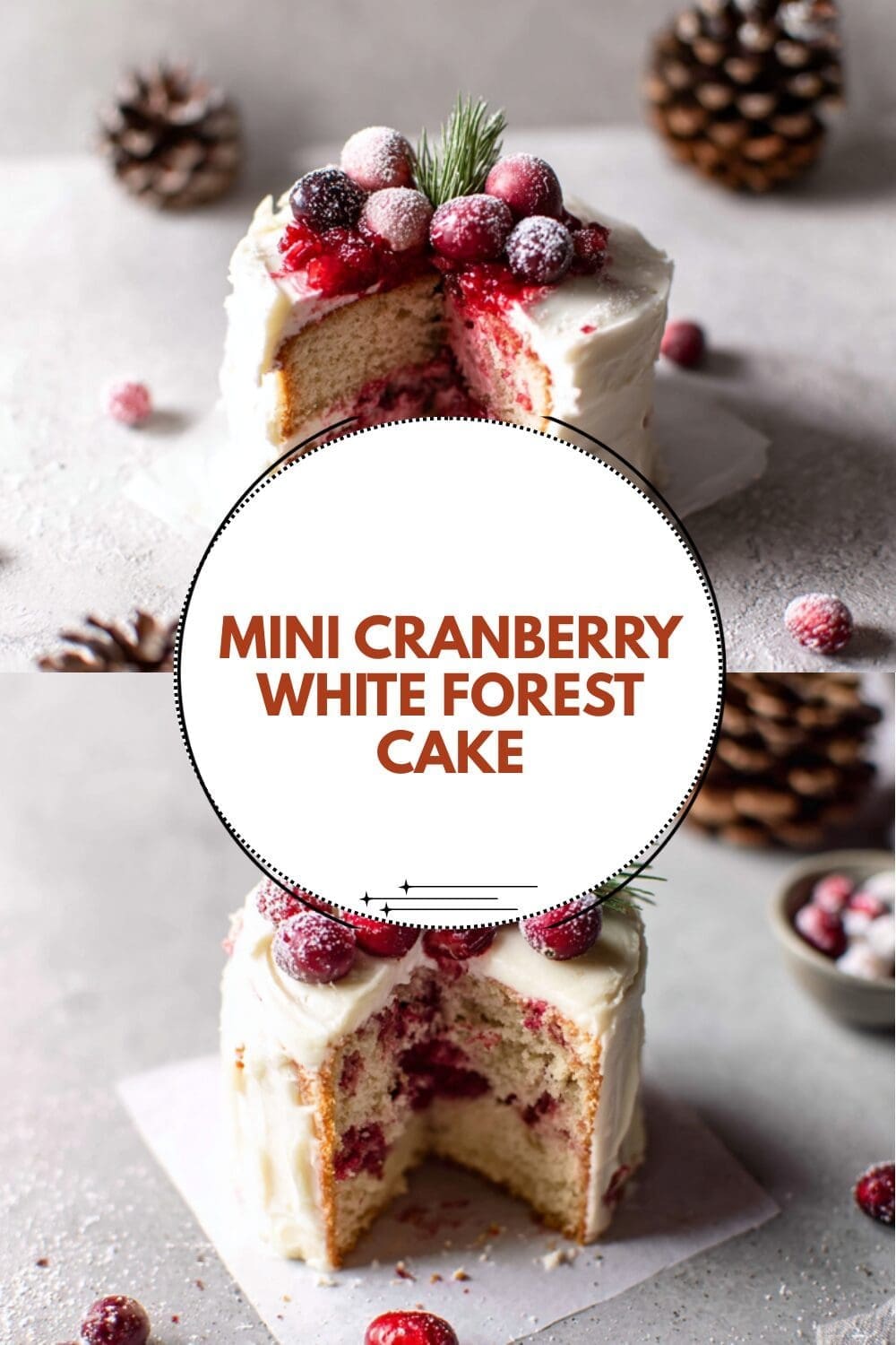White Chocolate Cranberry Bundt Cake With Lush Flavors And Simple Steps 7 Mini Cranberry White Forest Cake