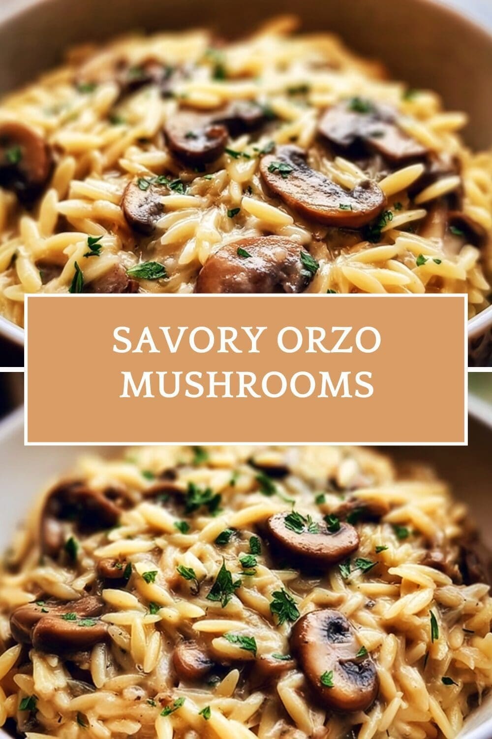 Mushroom Orzo Recipe Creamy And Easy 7 Savory Orzo Mushrooms