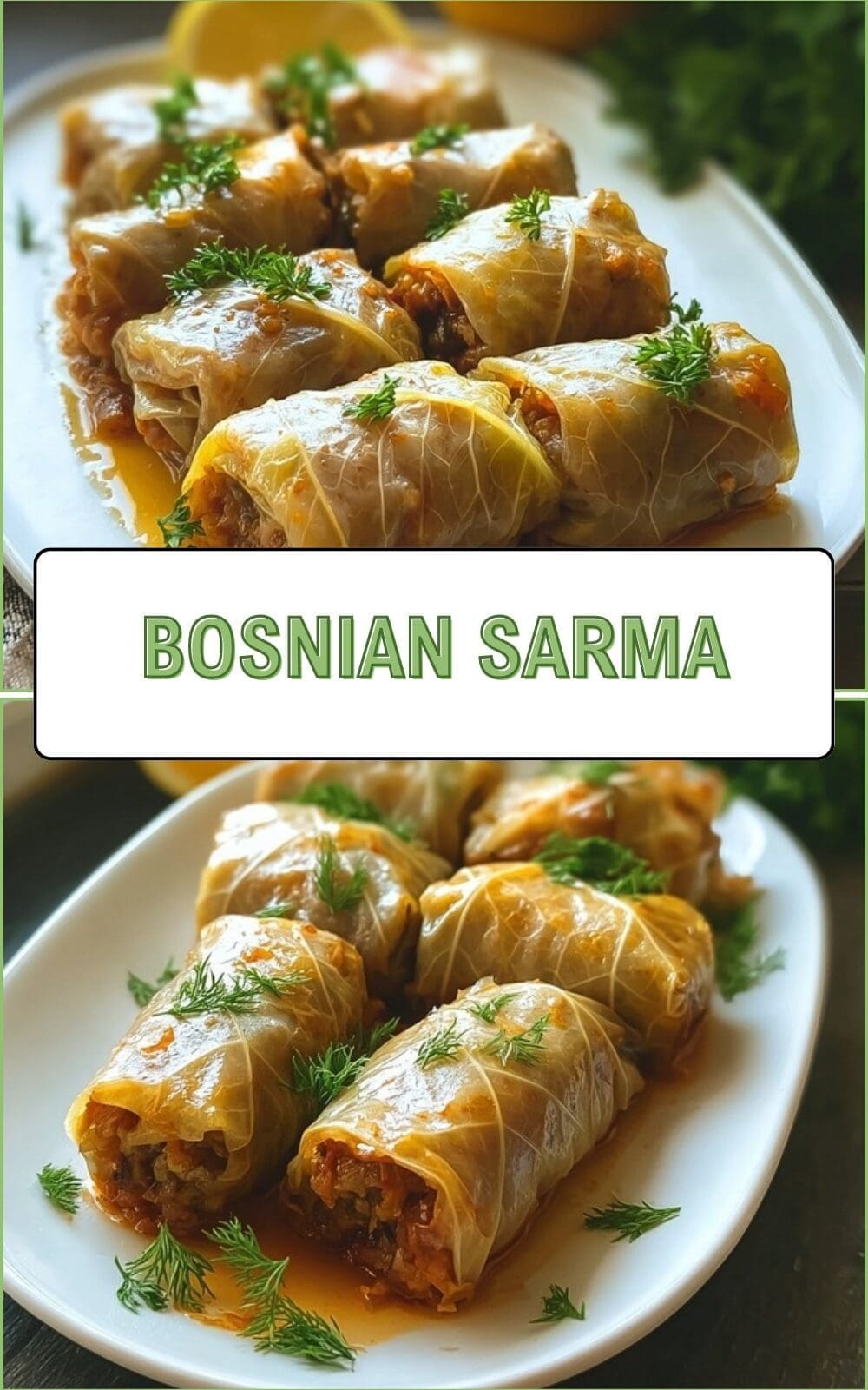 Bosnian Sarma