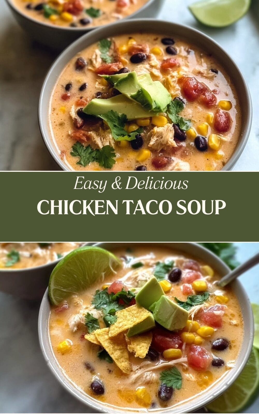 Chicken Taco Soup Recipe 7 Chicken Taco Soup