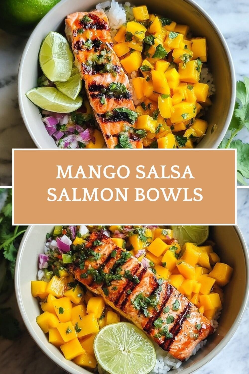 Bbq Salmon Bowls With Fresh Mango Avocado Salsa 4 Mango Salsa Salmon Bowls
