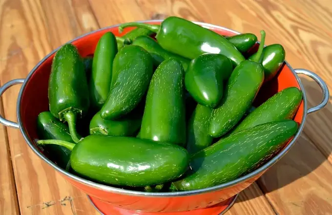 5 Pickled Jalapenos Canning Recipes To Stock Your Pantry 2 5 Pickled Jalapenos Canning Recipes, Pickled Jalapenos Canning Recipe