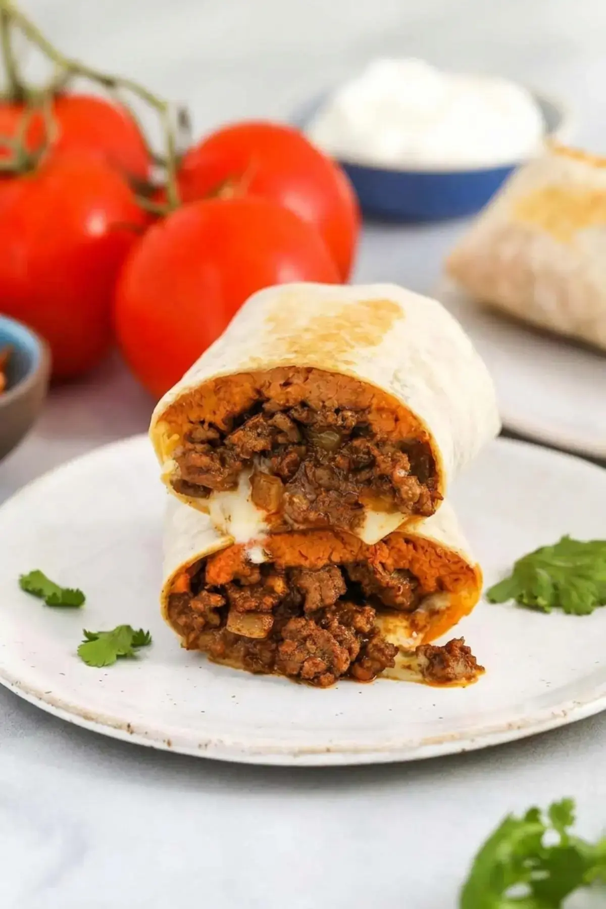Easy Ground Beef Burritos, Holly'S Best Burrito Tips