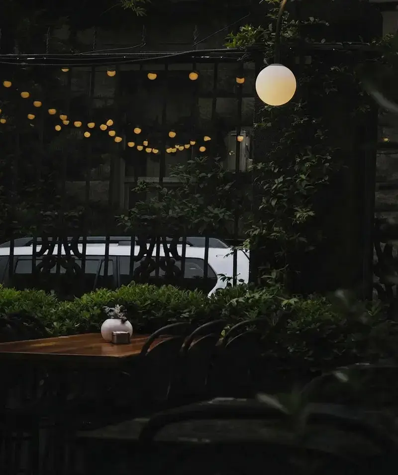 20 String Light Ideas To Create A Cozy Backyard Retreat 27 20 String Light Ideas, 19. Surround The Lights With Plants