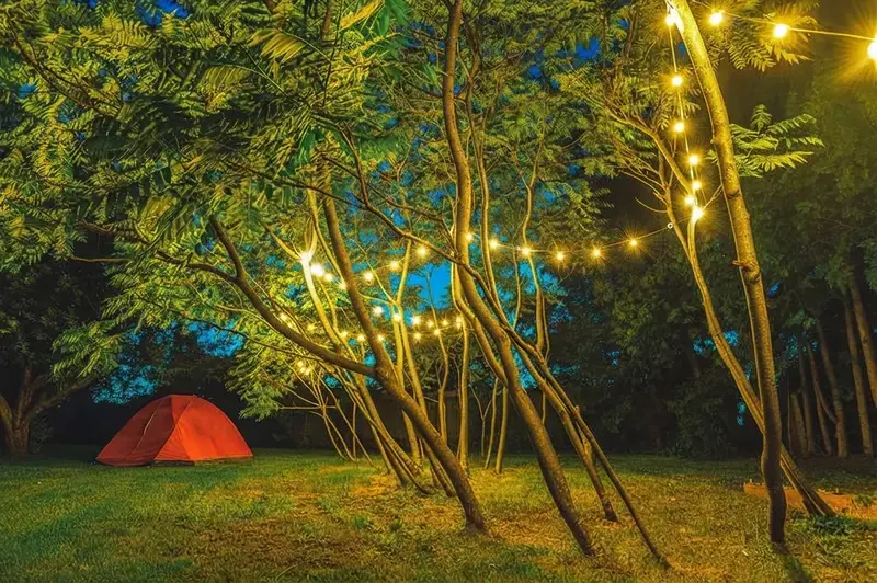 20 String Light Ideas To Create A Cozy Backyard Retreat 12 20 String Light Ideas, 7. Hang Them Through The Trees